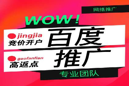 百度网络推广案例解析：成功企业如何实现品牌飞跃