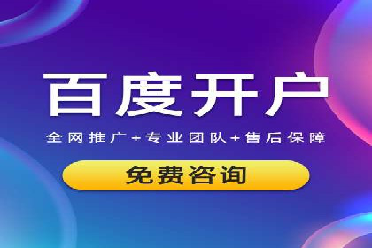 竞价推广中的着陆页策略：成功案例解读